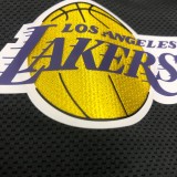 NBA Lakers' black gray warm-up training appearance hooded zipper jacket  with chip  1:1