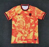 Netherlands Special Edition Fans  22-23
