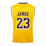 Los Angeles Lakers yellow #23 JAMES  1:1 Quality NBA  Season Jerseys