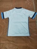 Northern Ireland Away 1:1 Quality Soccer Jersey   2020