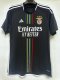 Benfica Away  Fans 1:1 Quality Soccer Jersey  23-24