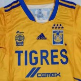 Tiger  Home Kids Kits 1:1 Quality Soccer Jersey 2021-2022