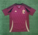 Belgium Home Fans  1:1 Quality Soccer Jersey   24-25
