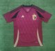Belgium Home Fans  1:1 Quality Soccer Jersey   24-25