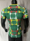 Senegal  Away Player  1:1 Quality Soccer Jersey  23-24