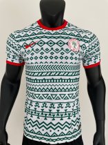 Nigeria Special Edition Player  1:1 Quality Soccer Jersey  23-24
