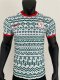 Nigeria Special Edition Player  1:1 Quality Soccer Jersey  23-24