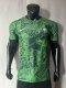 Nigeria Home   Player  1:1 Quality Soccer Jersey  23-24