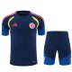Colombia Training Special Edition  Fans 1:1 Quality Soccer Jersey 26-27（2026）