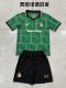 Feyenoord Third Away Fans  (Kids and Man)  1:1 Quality Soccer Jersey  25-26