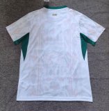 Senegal Away Fans 1:1 Quality Soccer Jersey   26-27 (2026)