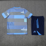 Real Madrid  Training  Fans kits  1:1 Quality Soccer Jersey 25-26 (Kids And Man )