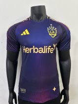 LA Galaxy  away Fans    1:1    24-25