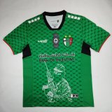 Palestine Special Edition  Fans 1:1 Quality Soccer Jersey  24-25