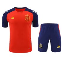 Spain Training clothing set 1:1 Quality Soccer Jersey    24-25