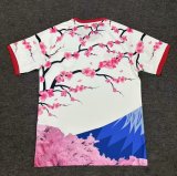 Japan Special Edition   Fans  1:1 Quality Soccer Jersey  25-26