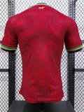 Portugal Special Edition Player  1:1 Quality Soccer Jersey  24-25
