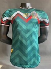 Mexico  Special edition  player  1:1 Quality Soccer Jersey   24-25