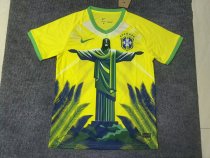 Brazil Special Edition Fans 1:1 Quality Soccer Jersey 25-26