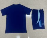 Arsenal  Special Edition training  kits  Fans 1:1 Quality Soccer Jersey    24-25
