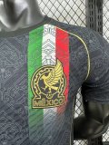 Mexico Special Edition player 1:1 Quality Soccer Jersey   25-26