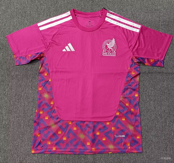 Mexico Goalkeeper   Fans  1:1 Quality Soccer Jersey  26-27（2026）