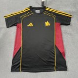 Roma Special Edition Fans 1:1 Quality Soccer Jersey  25-26