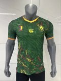 Cameroon Home  Player 1:1 Quality Soccer Jersey 26-27 (2026)