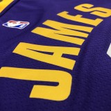 Los Angeles Lakers   purple 6 James  round neck  Flying Man Limited NBA Jerseys