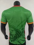 Cameroon home Player   1:1 Quality Soccer Jersey  25-26