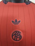 Bayern Munich  T-shirt Special Edition Player 1:1  25-26