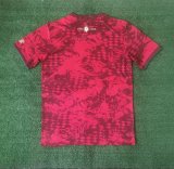 Portugal Training clothing  Fans 1:1 Quality Soccer Jersey  24-25