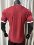 Qatar Home Player 1:1 Quality Soccer Jersey  26-27 (2026)