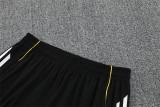 Real Madrid  Training  Fans kits  1:1 Quality Soccer Jersey 25-26 (Kids And Man )