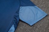 Adidas Clover Sets  Blue 1:1 Quality Soccer Jersey  25-26