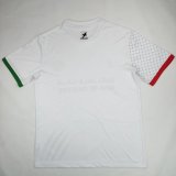 Palestine Special Edition  Fans 1:1 Quality Soccer Jersey  24-25