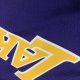 Retro Los Angeles Lakers Purple #0 WESTBROOK  1:1 Quality NBA Season Jerseys 2021