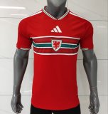Wales  Home Fans 1:1 Quality Soccer Jersey  26-27 (2026)