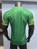 Mali Away player  1:1 Quality Soccer Jersey   25-26