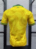 Brazil  Special Edition  Player  1:1 Quality Soccer Jersey  24-25
