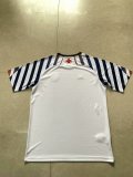 Vasco da Gama Special Edition Fans 1:1 Quality Soccer Jersey  24-25