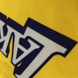 Los Angeles Lakers  V-Neck  Yellow with star  #3 DAVIS 1:1 Quality NBA Season Jerseys