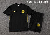 Dortmund  training  fans  1:1 Quality Soccer Jersey  24-25