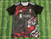 Liverpool Special Edition Fans 1:1 Quality Soccer Jersey   24-25