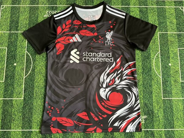 Liverpool Special Edition Fans 1:1 Quality Soccer Jersey   24-25