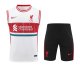 Liverpool Training clothing Vest  set  1:1 Quality Soccer Jersey    24-25