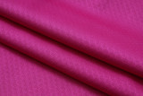 Barcelona Polo Fans  Purple 1:1 Quality Soccer Jersey  25-26