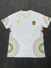 Mali  competition Before   Special Edition Fans   1:1 Quality Soccer Jersey   25-26