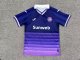 R.S.C. Anderlecht Home Fans 1:1 Quality Soccer Jersey  25-26