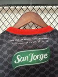 Palestino  Away Fans 1:1 Quality Soccer Jersey   25-26